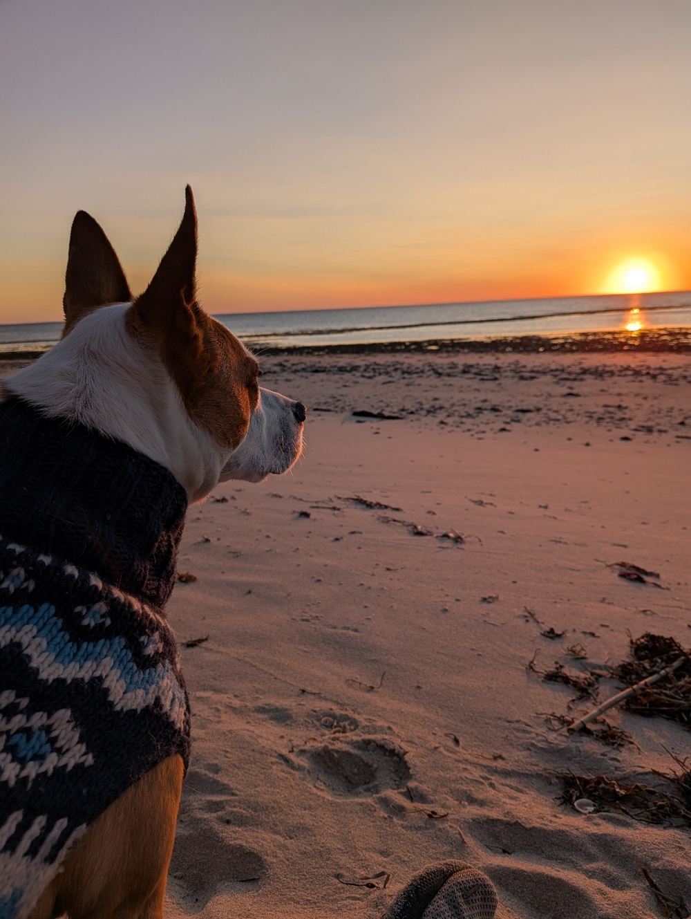 KG4DEALS going Live! - Picture 6 of 11